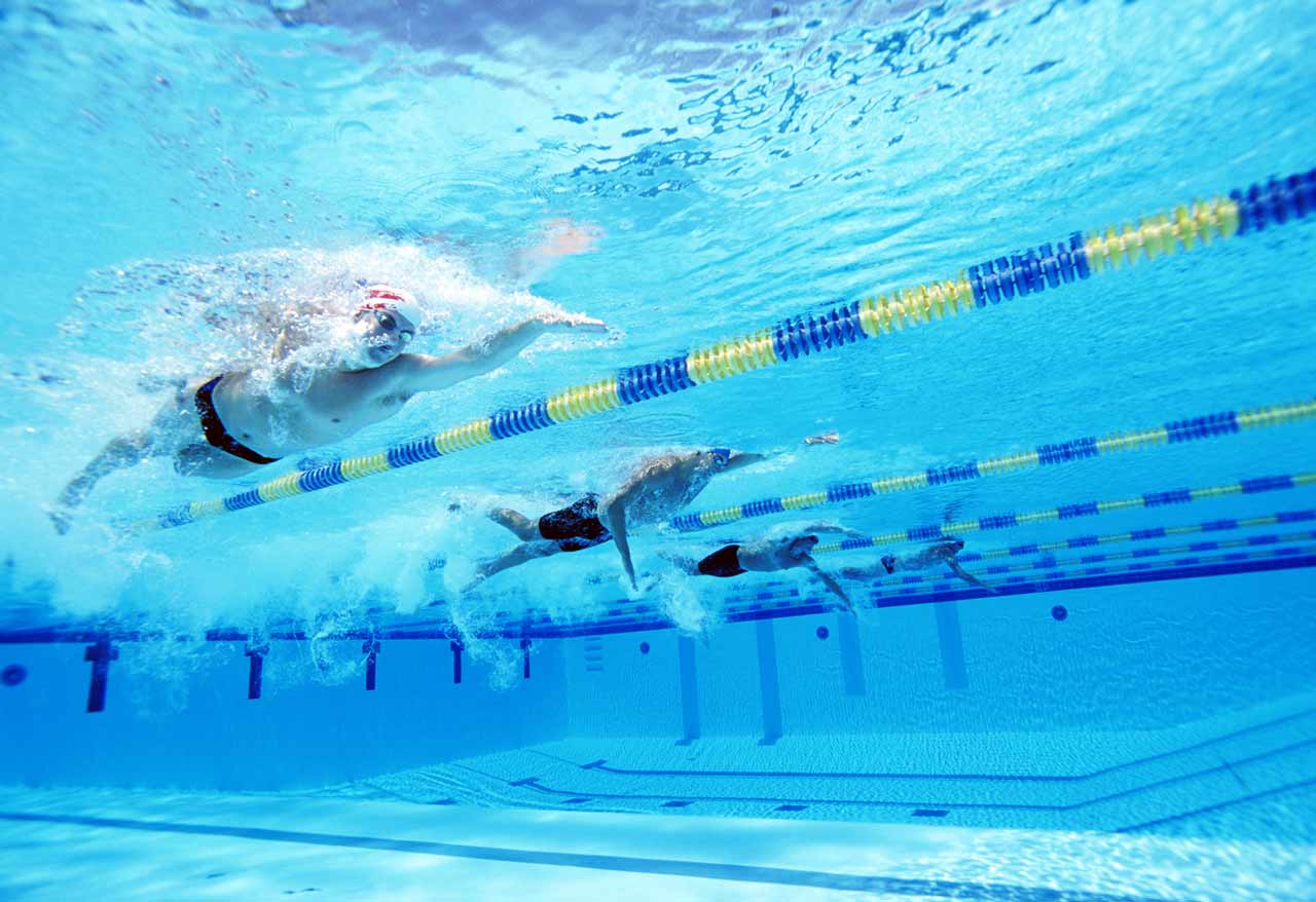 Swimmers