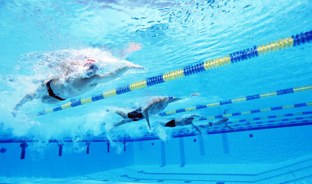 Gala levels the differences Header Image